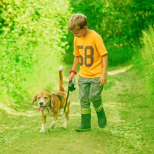 Tidywalk Retractable Leash